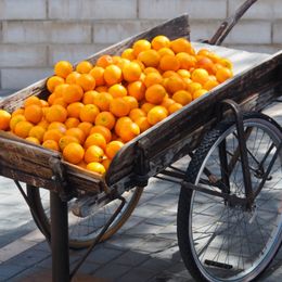 Chariot d'Oranges